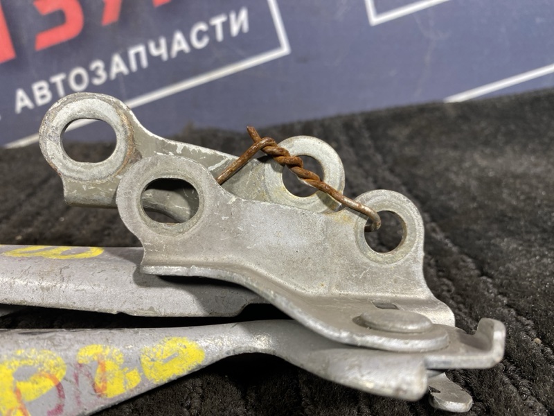 Петля (Шарнир капота), 300 рублей, Солонцы