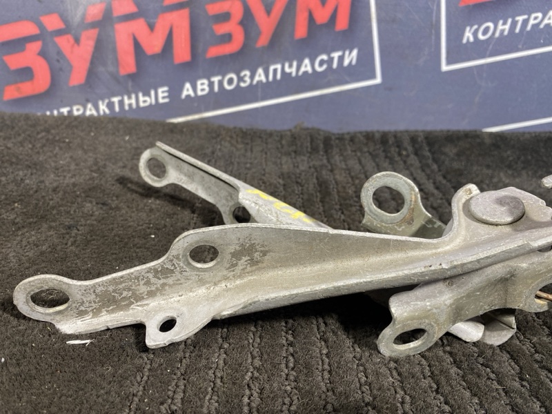 Петля (Шарнир капота), 300 рублей, Солонцы