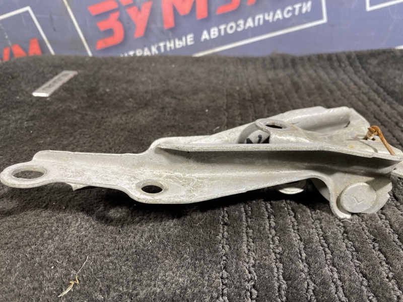 Петля (Шарнир капота), 300 рублей, Солонцы