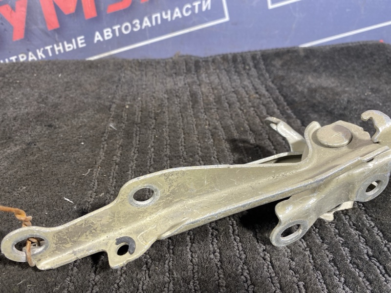 Петля (Шарнир капота), 300 рублей, Солонцы