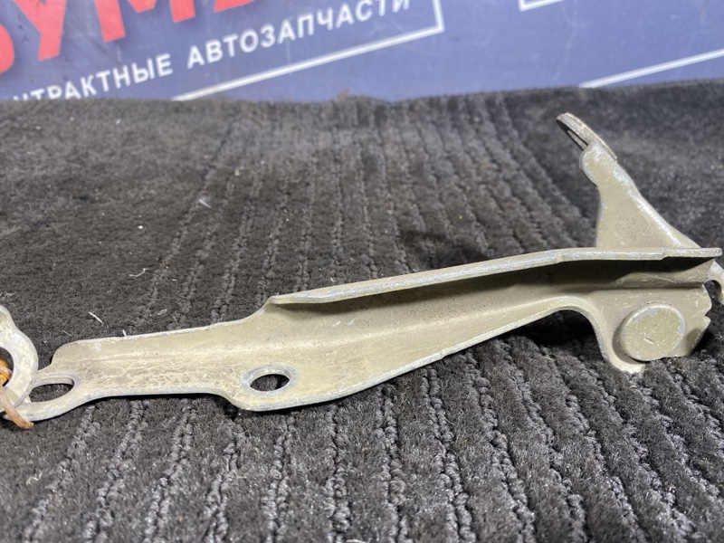 Петля (Шарнир капота), 300 рублей, Солонцы