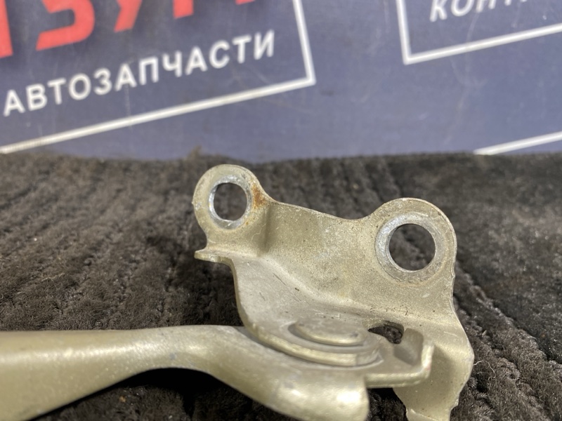 Петля (Шарнир капота), 300 рублей, Солонцы