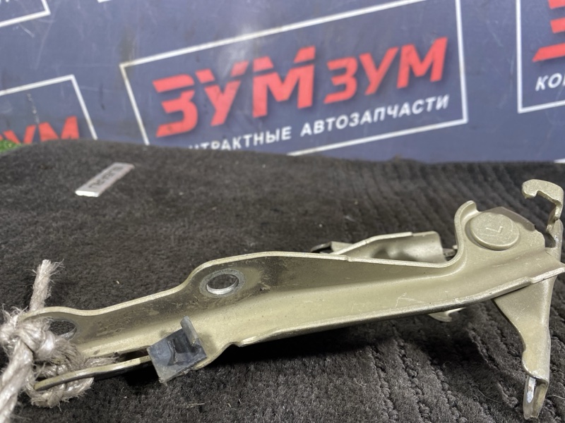 Петля (Шарнир капота), 300 рублей, Солонцы