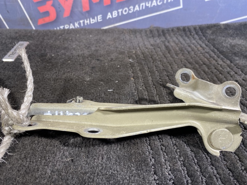 Петля (Шарнир капота), 300 рублей, Солонцы