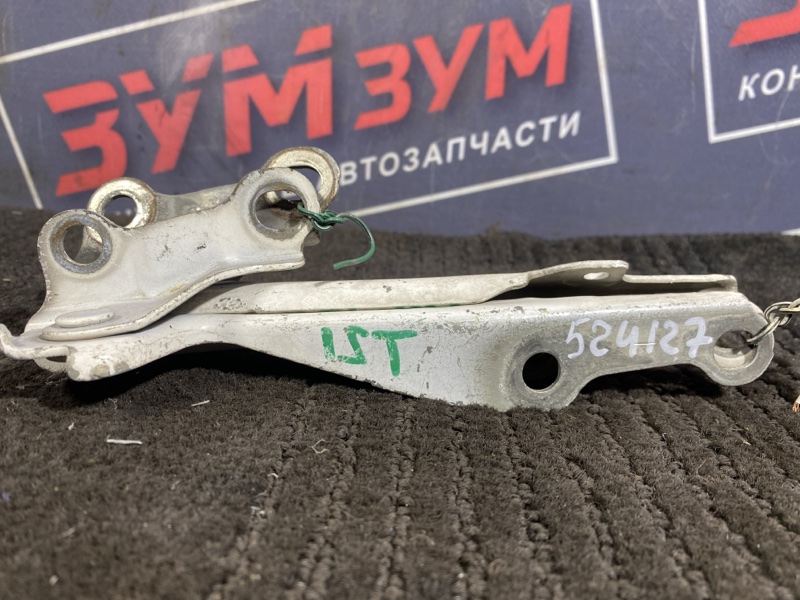 Петля (Шарнир капота), 300 рублей, Солонцы