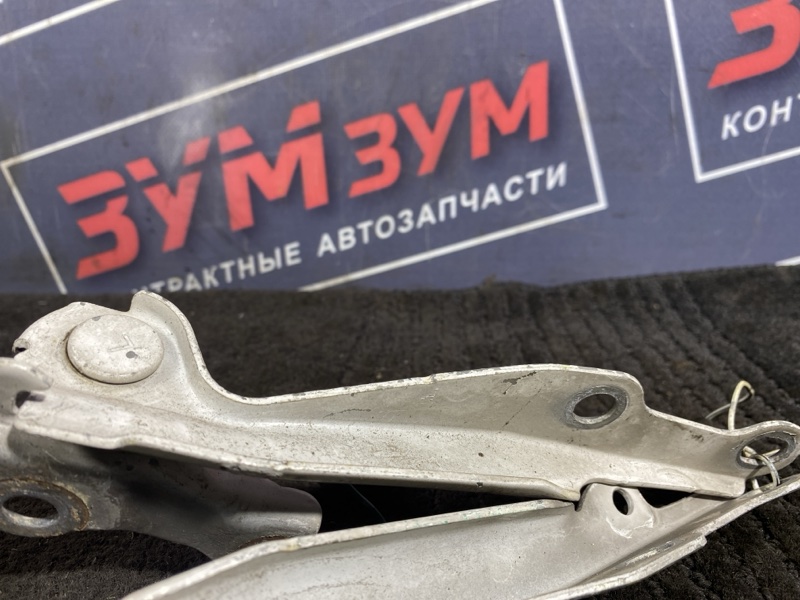 Петля (Шарнир капота), 300 рублей, Солонцы