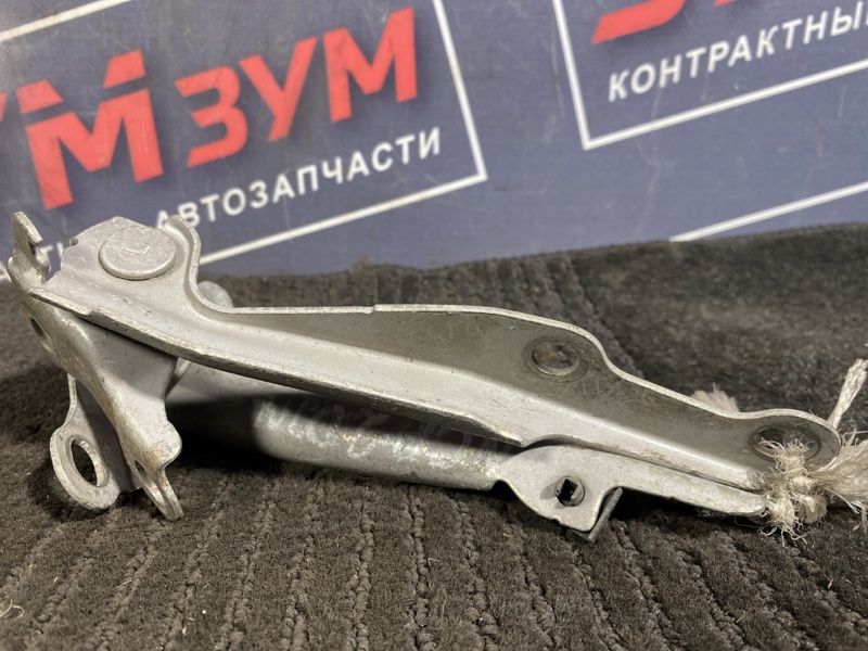 Петля (Шарнир капота), 300 рублей, Солонцы