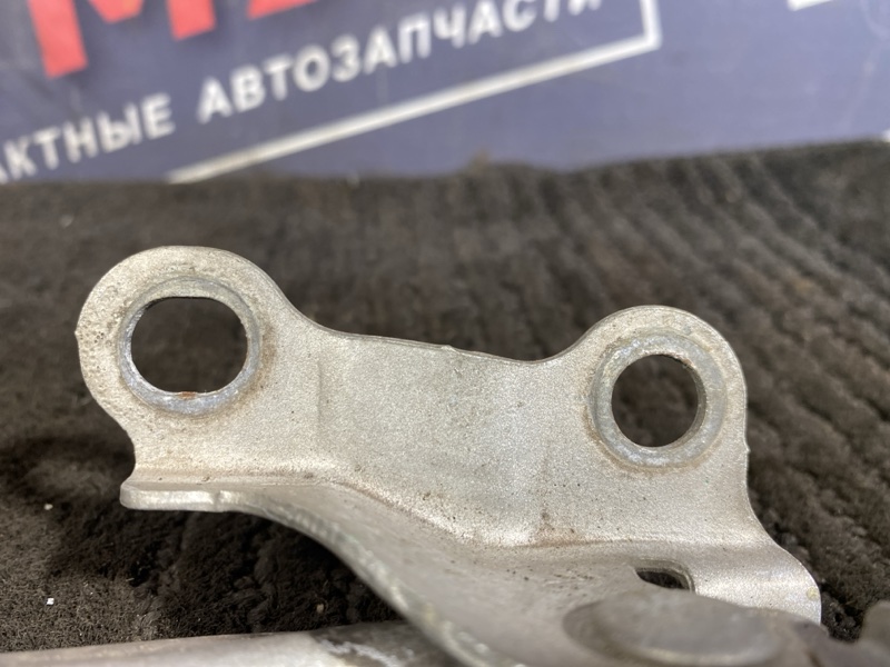 Петля (Шарнир капота), 300 рублей, Солонцы