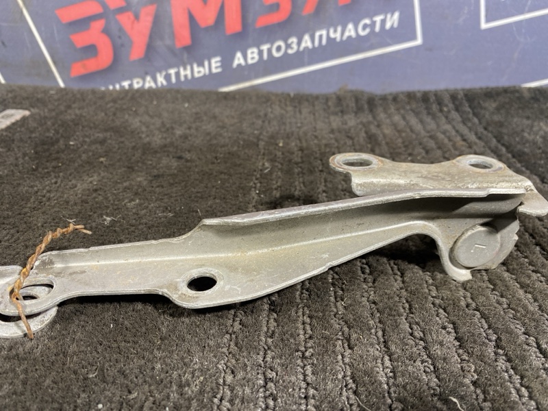 Петля (Шарнир капота), 300 рублей, Солонцы