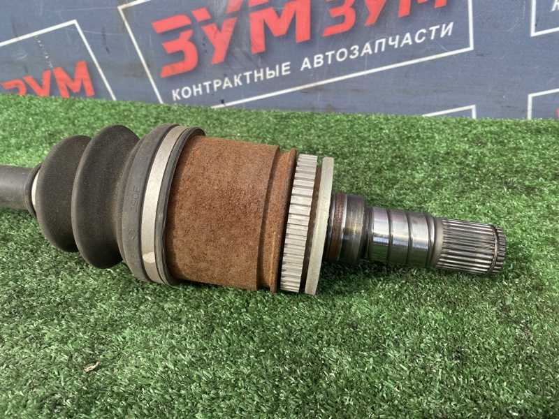 Привод, 3500 рублей, Солонцы