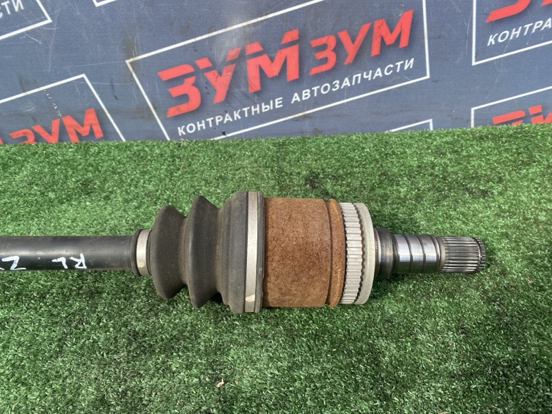 Привод, 3500 рублей, Солонцы