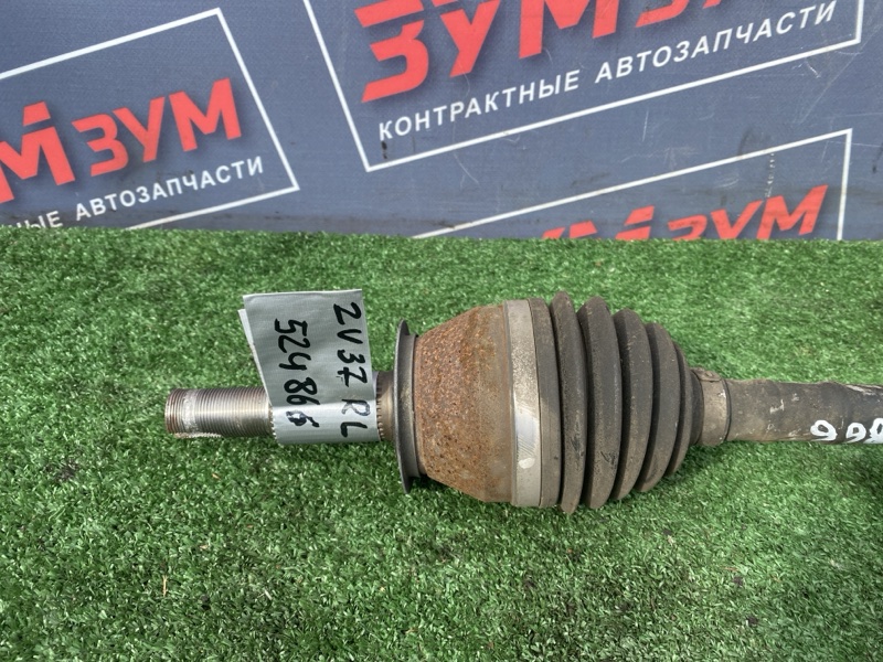 Привод, 3500 рублей, Солонцы