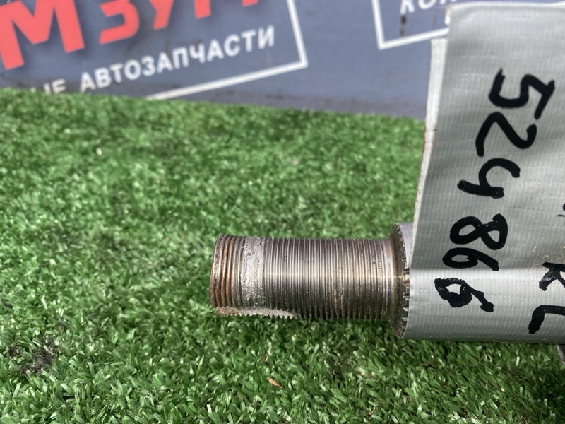 Привод, 3500 рублей, Солонцы