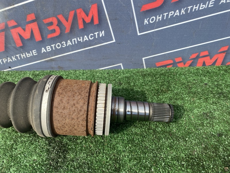 Привод, 3500 рублей, Солонцы