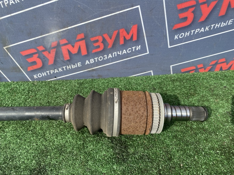Привод, 3500 рублей, Солонцы