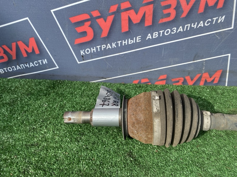 Привод, 3500 рублей, Солонцы