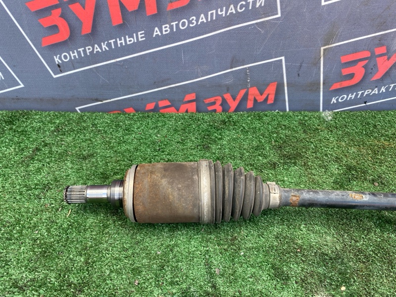 Привод, 1500 рублей, Солонцы