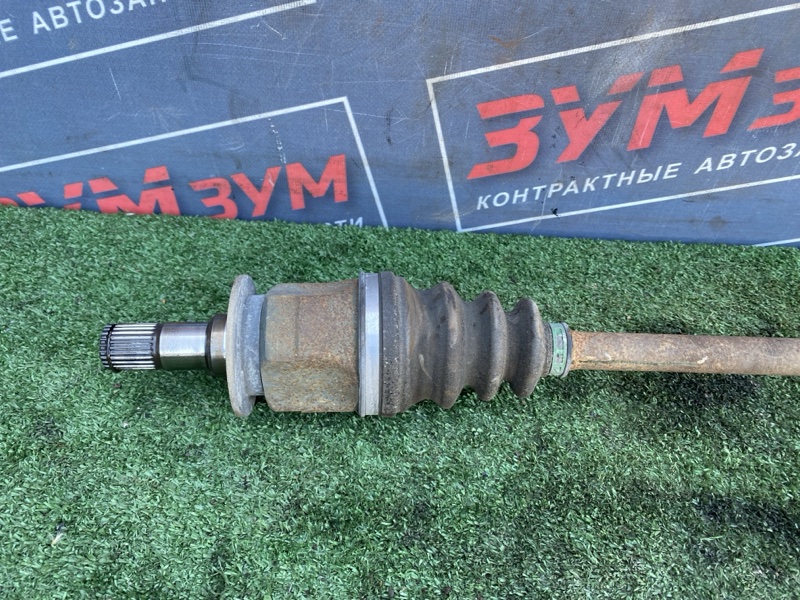 Привод, 1500 рублей, Солонцы