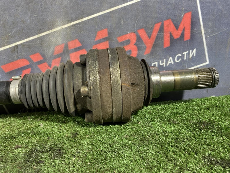 Привод, 1500 рублей, Солонцы