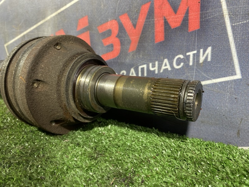Привод, 1500 рублей, Солонцы