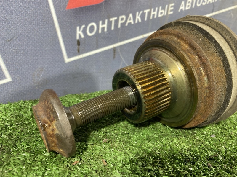 Привод, 1500 рублей, Солонцы