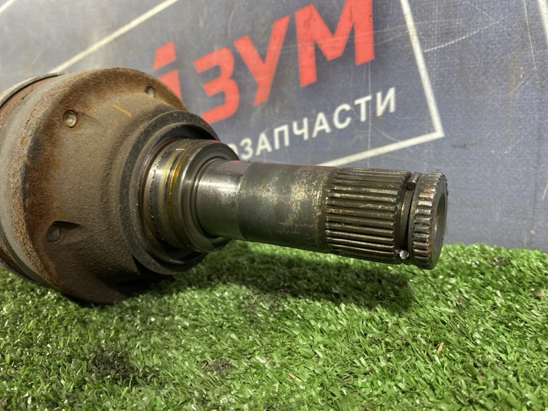 Привод, 1500 рублей, Солонцы