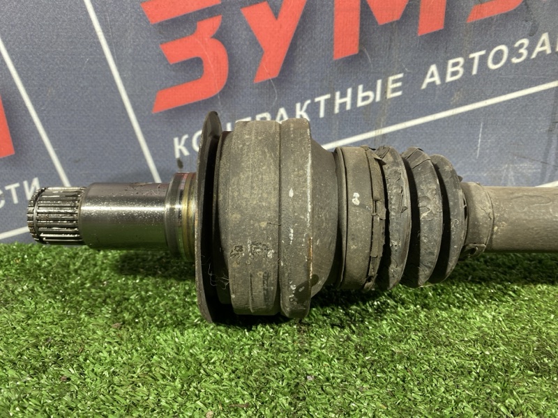 Привод, 1500 рублей, Солонцы