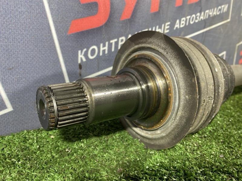 Привод, 1500 рублей, Солонцы