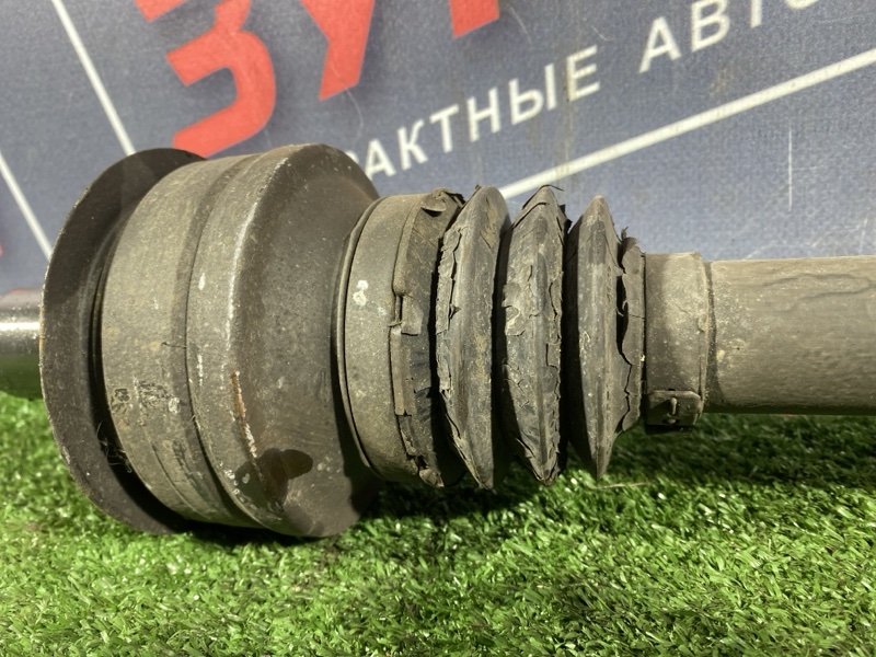 Привод, 1500 рублей, Солонцы