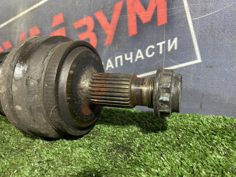 Привод, 1500 рублей, Солонцы
