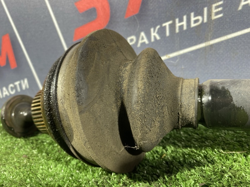 Привод, 1500 рублей, Солонцы