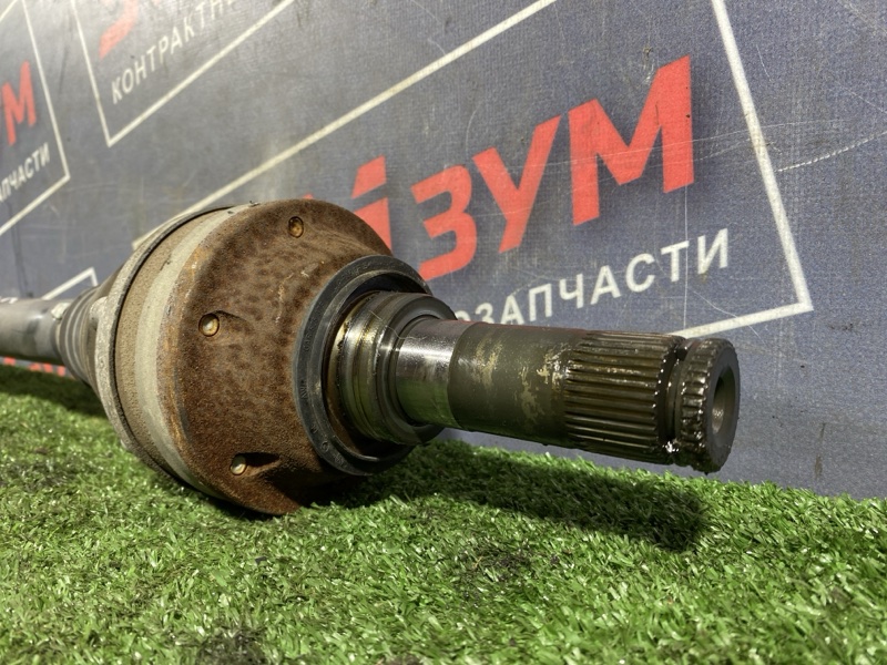 Привод, 1500 рублей, Солонцы