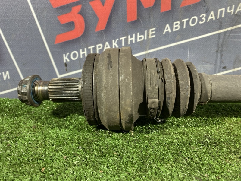 Привод, 1500 рублей, Солонцы