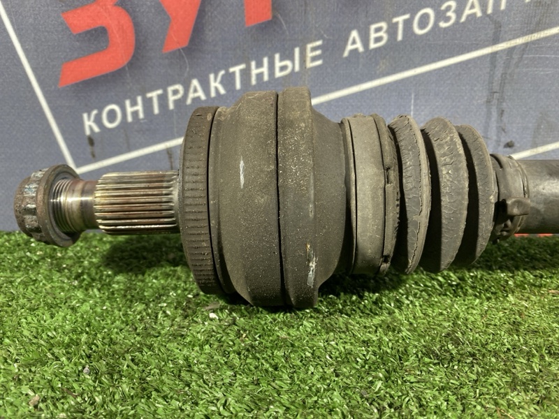 Привод, 1500 рублей, Солонцы