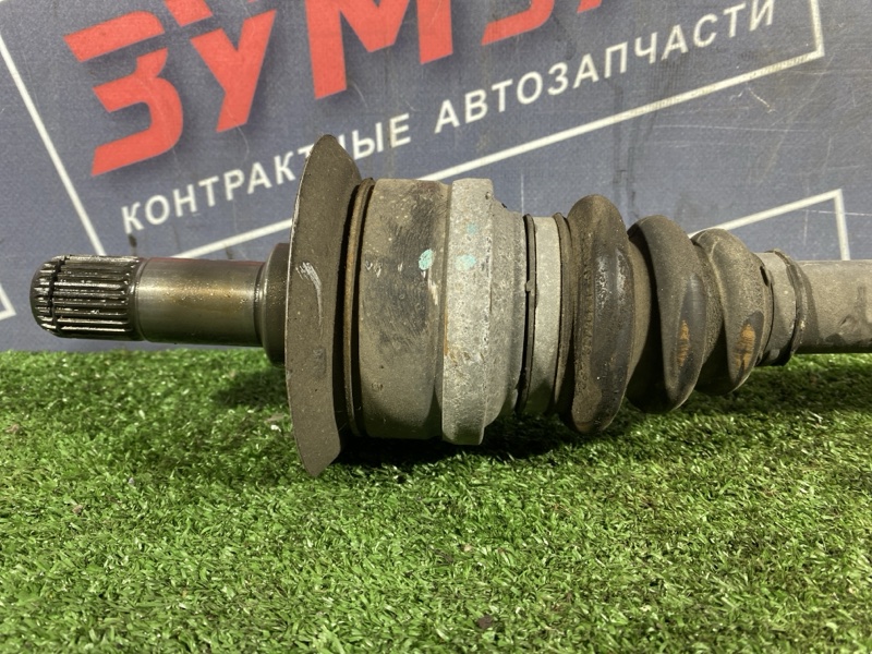 Привод, 10000 рублей, Солонцы