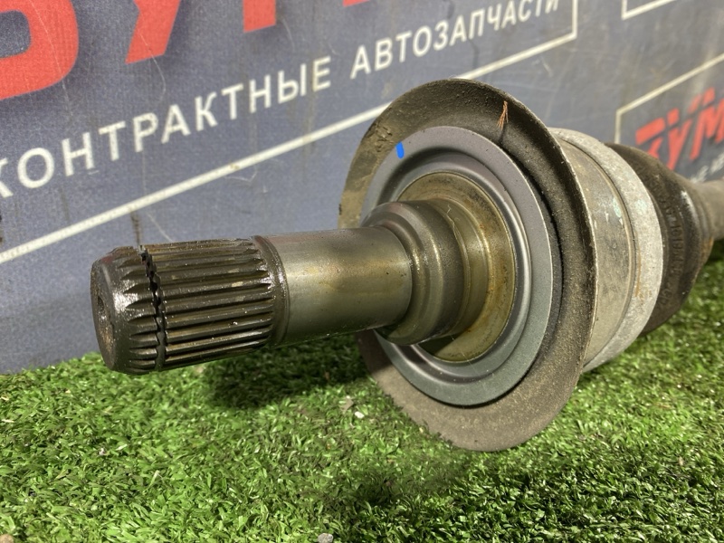 Привод, 10000 рублей, Солонцы