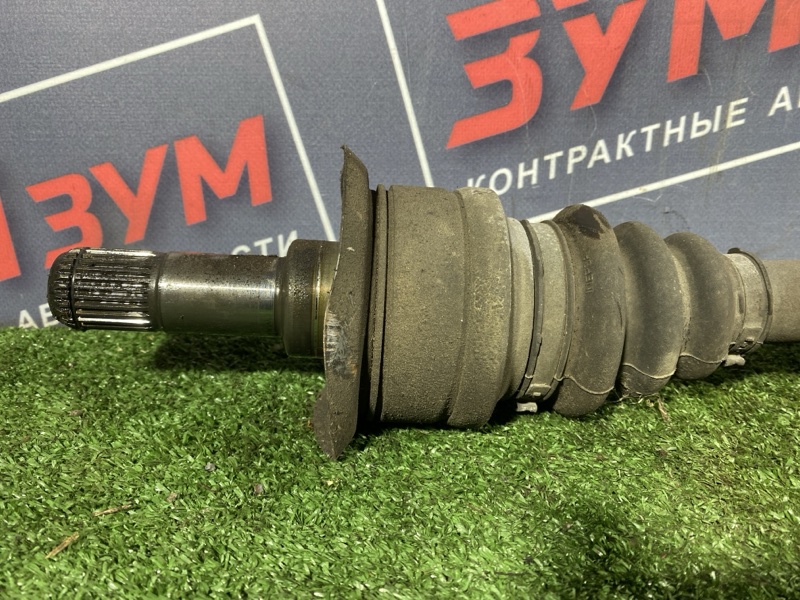 Привод, 10000 рублей, Солонцы
