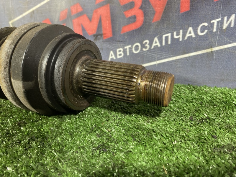 Привод, 10000 рублей, Солонцы