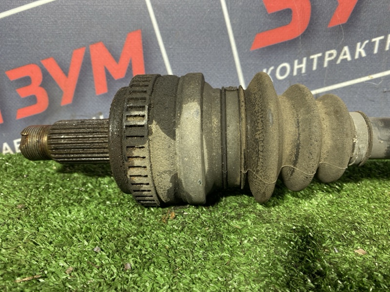 Привод, 2100 рублей, Солонцы