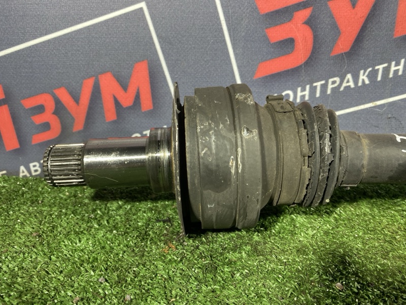 Привод, 1500 рублей, Солонцы