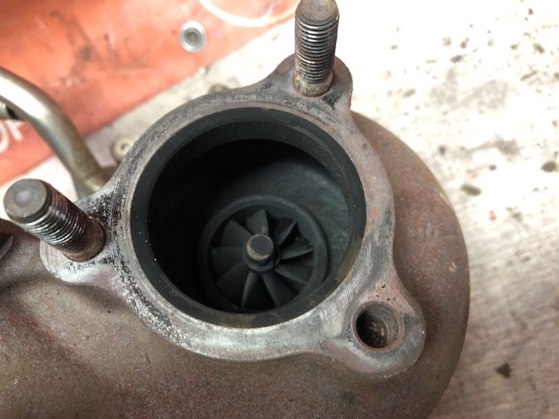 Турбина, 16750 рублей, Красноярск