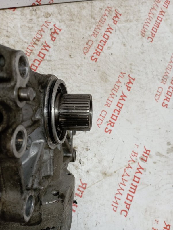 Раздатка, 5000 рублей, Владимир