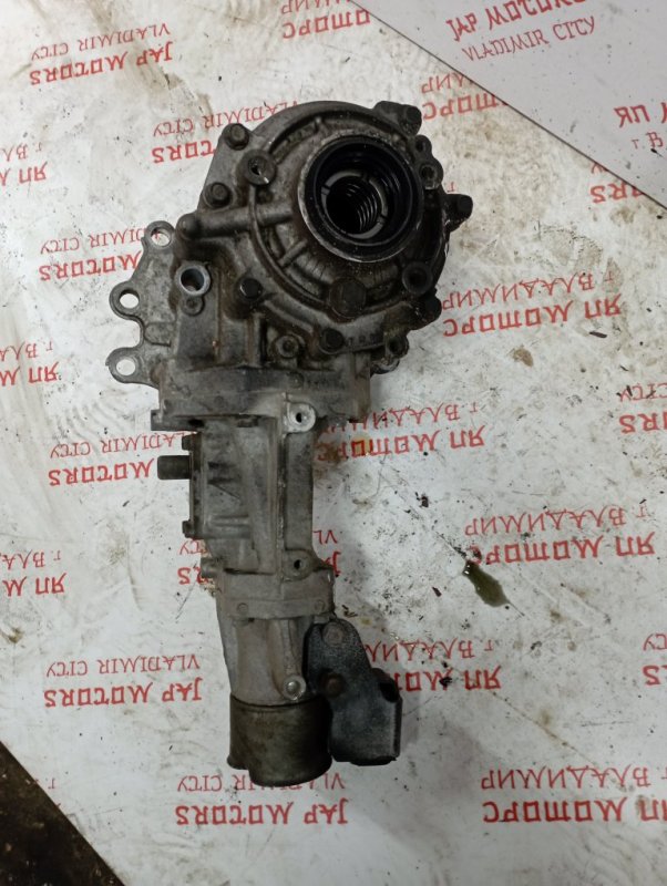 Раздатка, 5000 рублей, Владимир