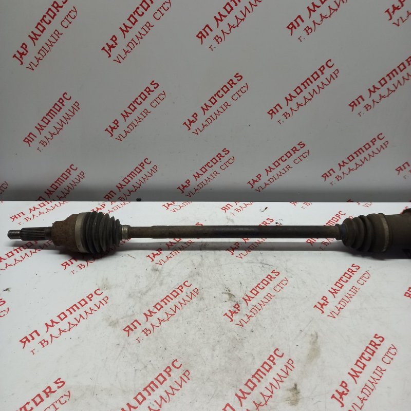 Привод, 4000 рублей, Владимир