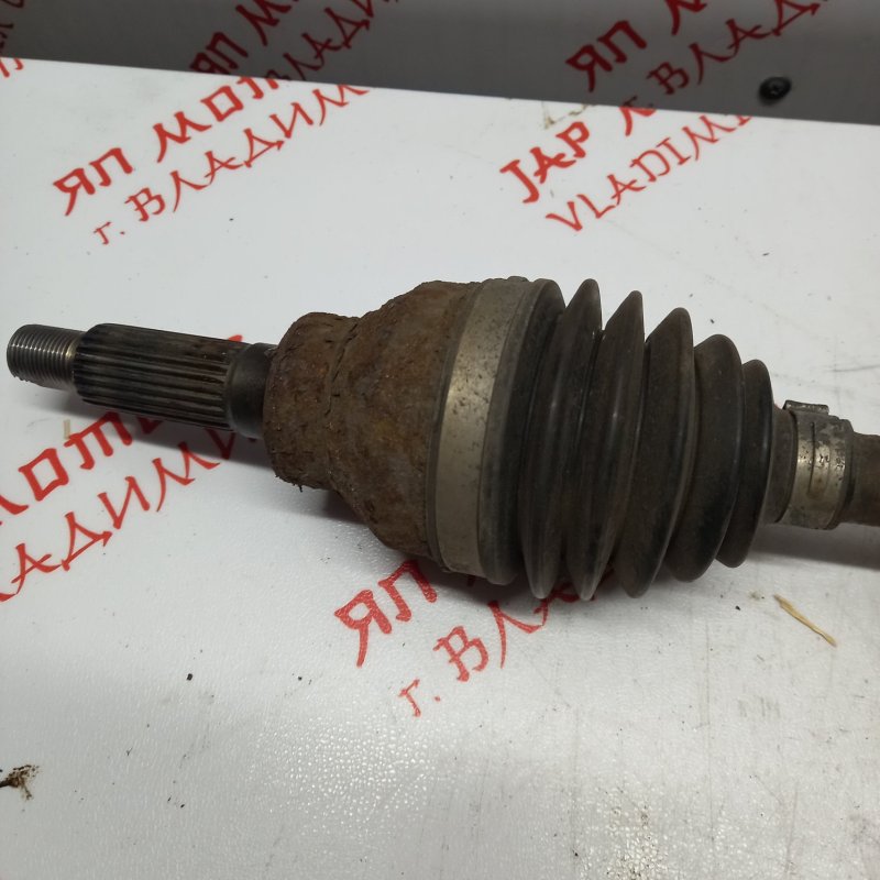 Привод, 4000 рублей, Владимир