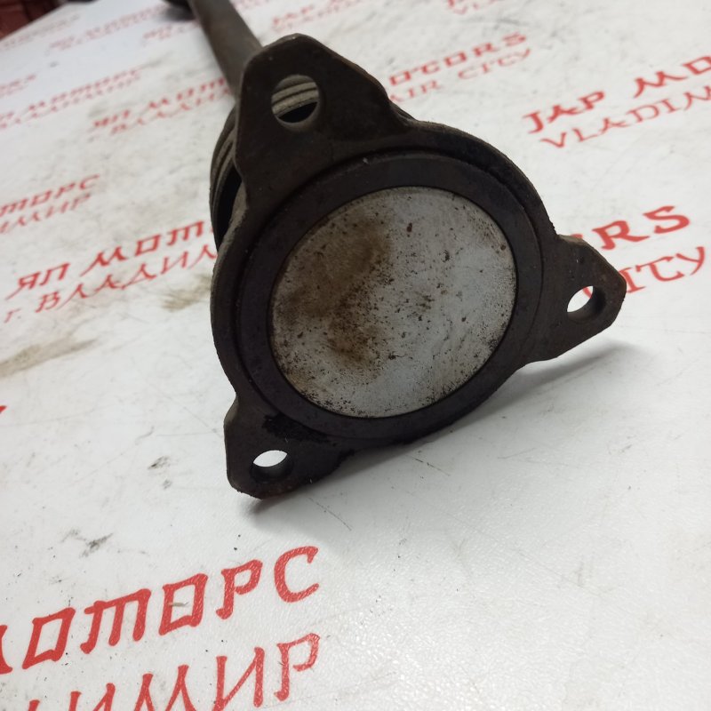 Привод, 4000 рублей, Владимир