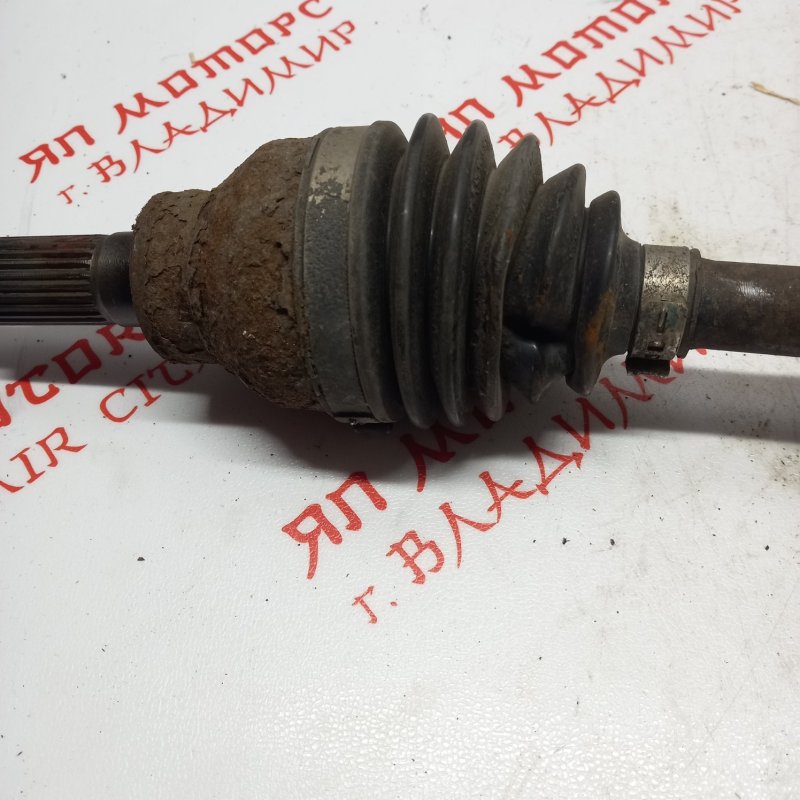 Привод, 4000 рублей, Владимир