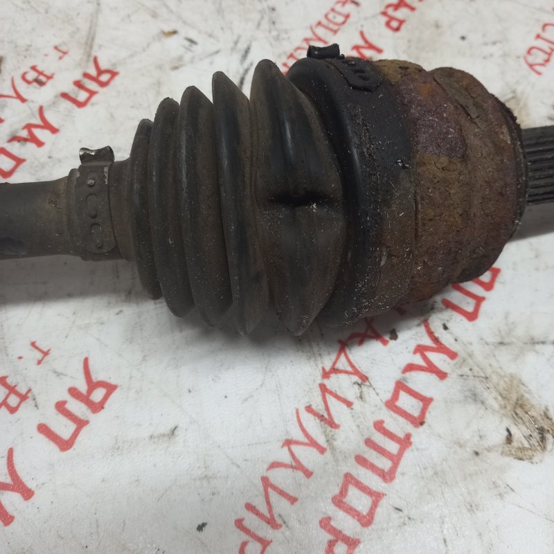 Привод, 4000 рублей, Владимир