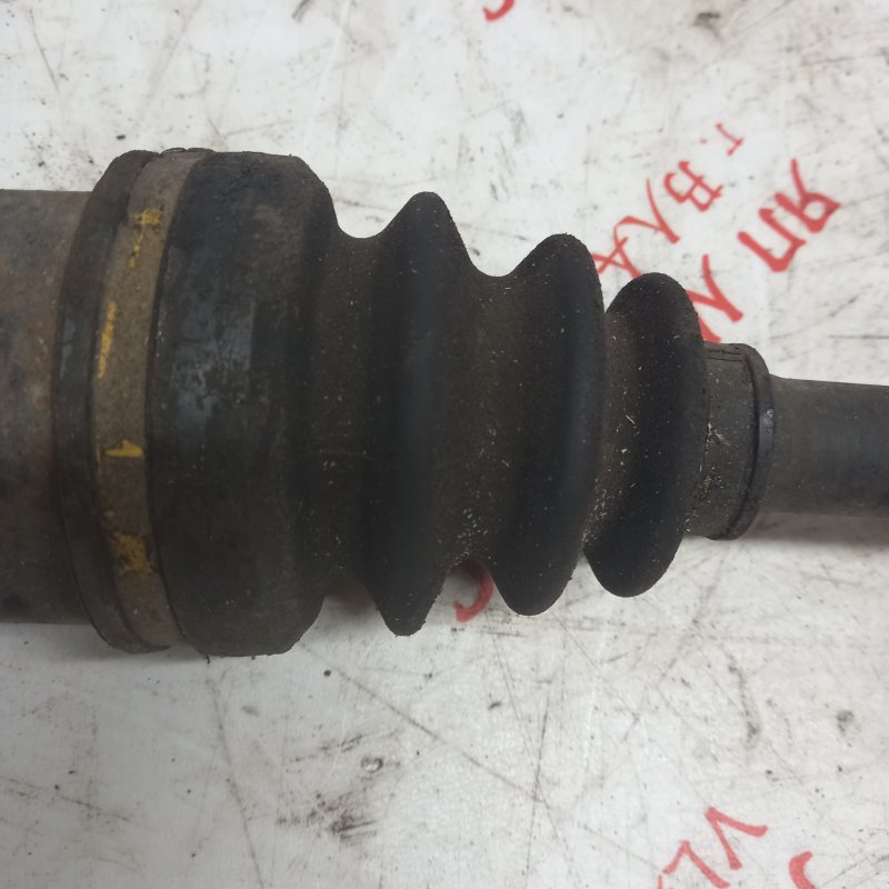 Привод, 4000 рублей, Владимир