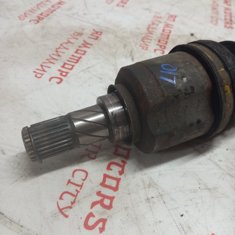 Привод, 4000 рублей, Владимир